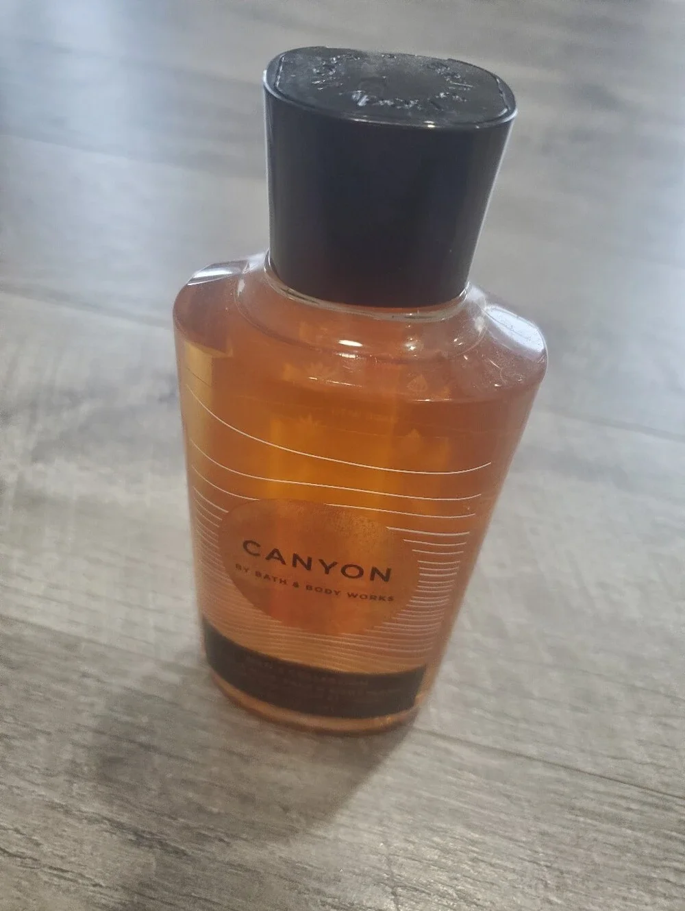 Bath And Body Works Mens Canyon Shower Gel